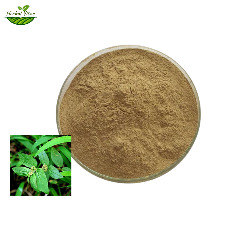 Asthma-plant Extract Powder