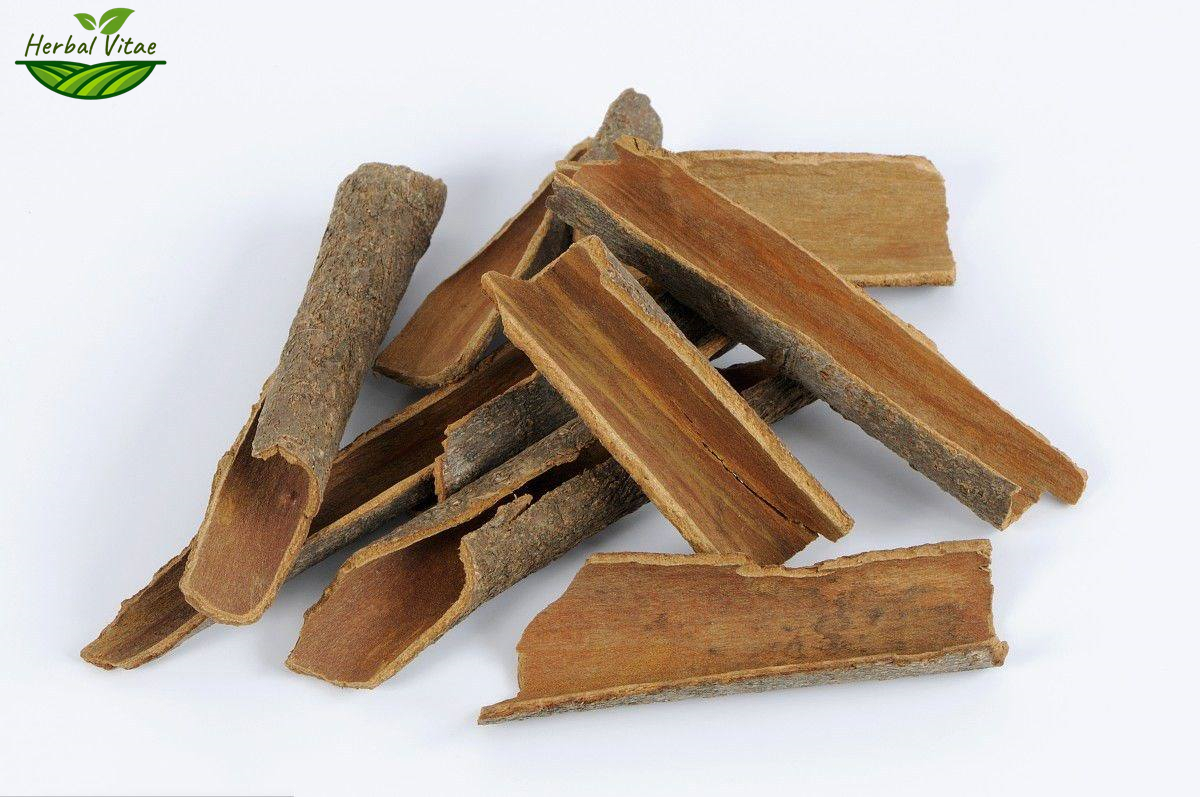 Cinnamon Bark